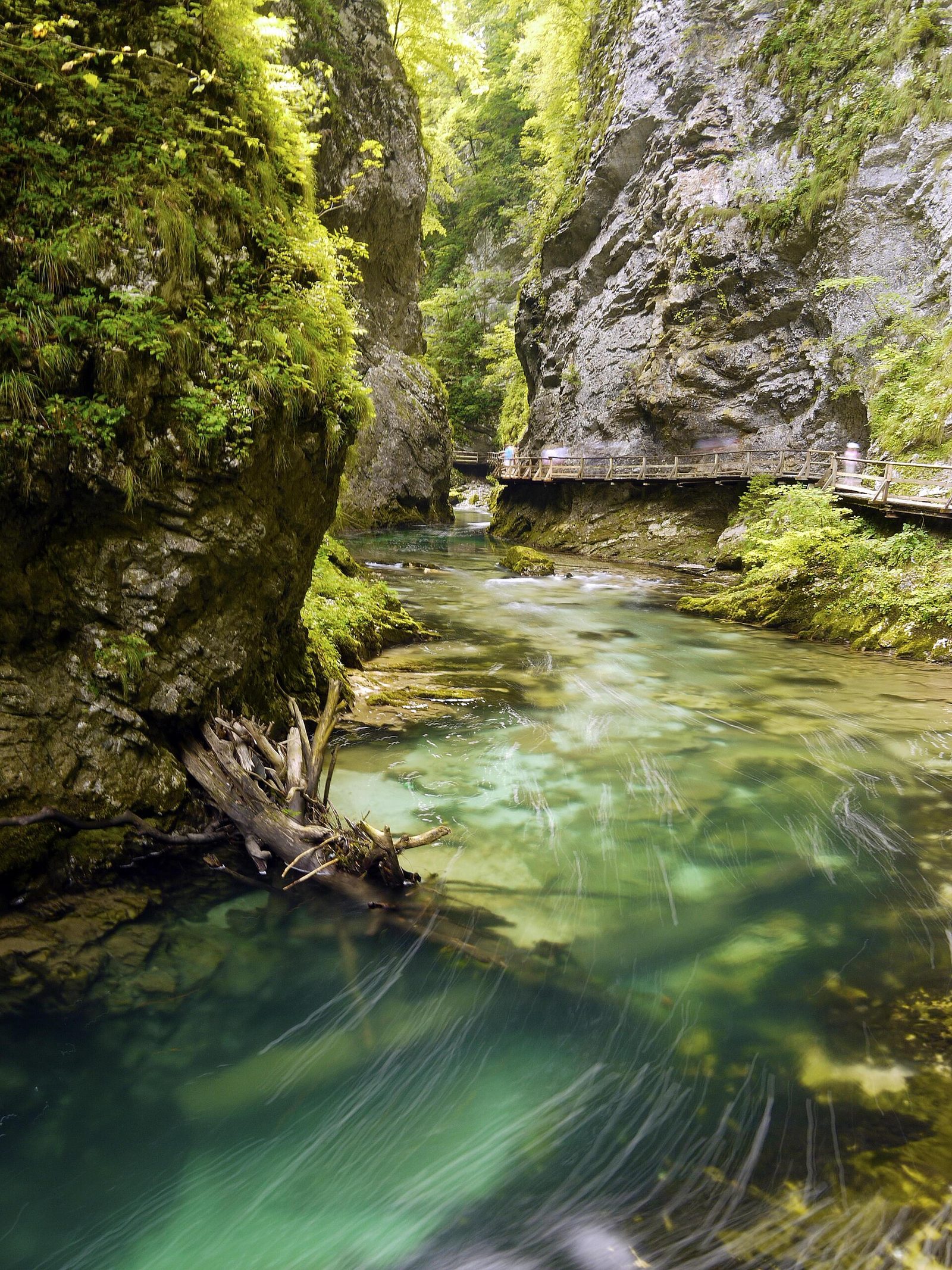 Vintgar-Schlucht